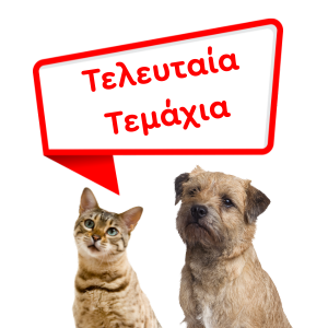 teleytaia_temaxia
